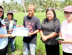 Berkat Karya Inovasi “TABELA”, Mardi Kaloh Petani Asal Minsel Ini Dapat Bantuan Gubernur YSK