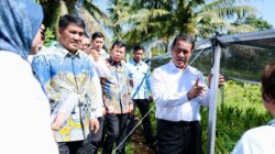 Program Sektor Pertanian Gubernur Yulius Tuai Dukungan Kementan RI, Siap Kucurkan Bantuan Bibit Jagung 15 Ribu Hektare